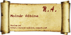 Molnár Albina névjegykártya